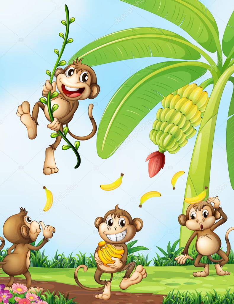 Playful monkeys near the banana plant