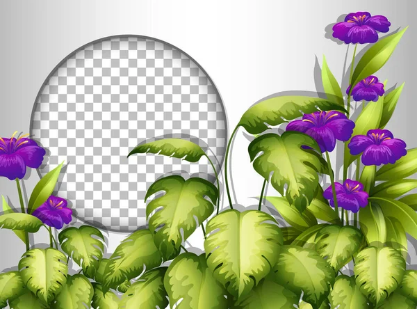 Okrągła Ramka Przezroczysta Purpurowym Kwiatem Pozostawia Szablon Ilustracji — Wektor stockowy