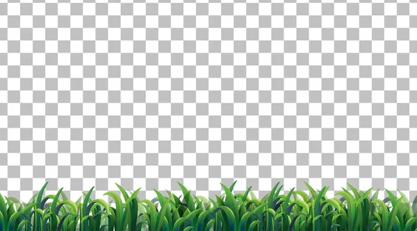 Eenvoudig Grasveld Transparante Achtergrond Illustratie — Stockvector