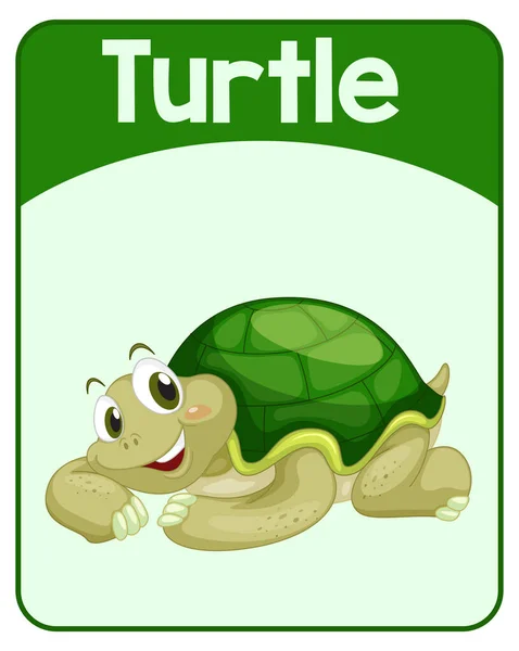 Educational English Word Card Turtle Illustration — Stock Vector