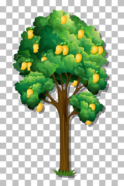 Árbol Mango Sobre Fondo Transparente Ilustración — Archivo Imágenes Vectoriales