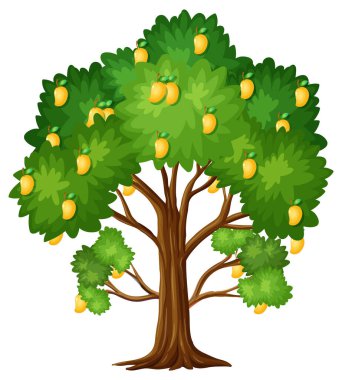 Beyaz arkaplanda izole edilmiş sarı mango ağacı