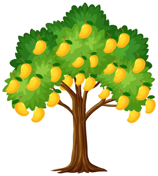 Árbol Mango Amarillo Aislado Sobre Fondo Blanco Ilustración — Vector de stock