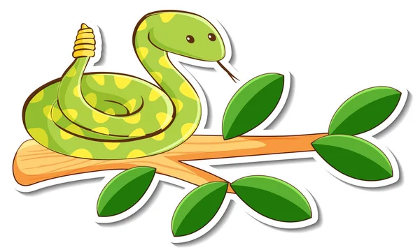 Γελοιογραφία Χαρακτήρα Του Πράσινου Φίδι Κουδουνίστρα Ένα Αυτοκόλλητο Κλάδο Εικονογράφηση — Διανυσματικό Αρχείο