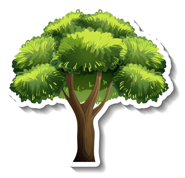 Дерево Зеленим Листям Наклейка Білому Тлі Ілюстрація — стоковий вектор