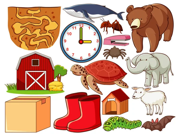 Conjunto Varios Animales Objetos Ilustración — Vector de stock
