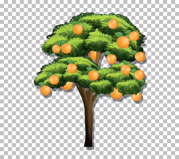 Orange Träd Transparent Bakgrund Illustration — Stock vektor