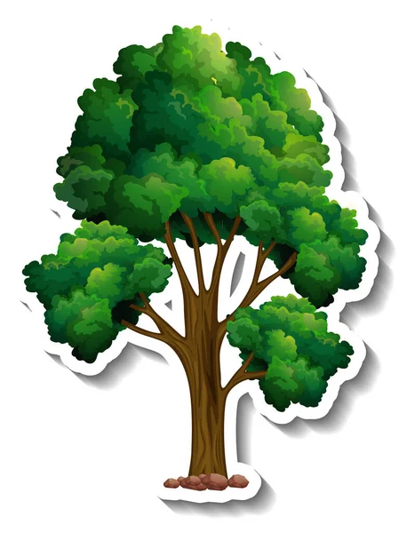 Pegatina Árbol Sobre Fondo Blanco Ilustración — Vector de stock