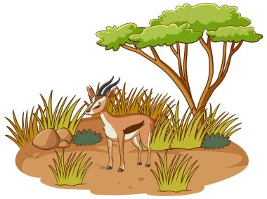 Savannah ormanında beyaz arkaplan resimlerinde Impala