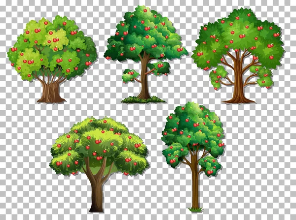 Set Different Trees Transparent Background Illustration — Stock Vector