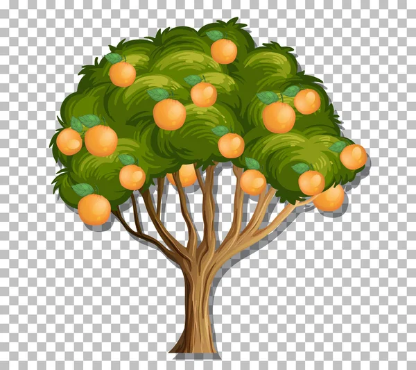 Pomarańczowe Drzewo Przejrzystym Tle Ilustracji — Wektor stockowy