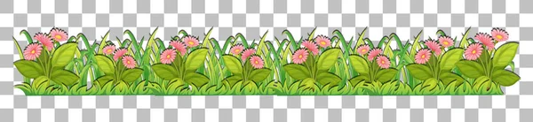 Grass Plants Transparent Background Decor Illustration — Stock Vector