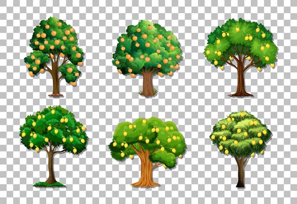 Ensemble Variétés Arbres Fruitiers Sur Fond Transparent Illustration — Image vectorielle