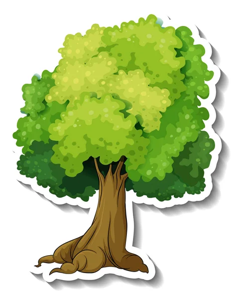 Autocolante Árvore Sobre Fundo Branco Ilustração —  Vetores de Stock
