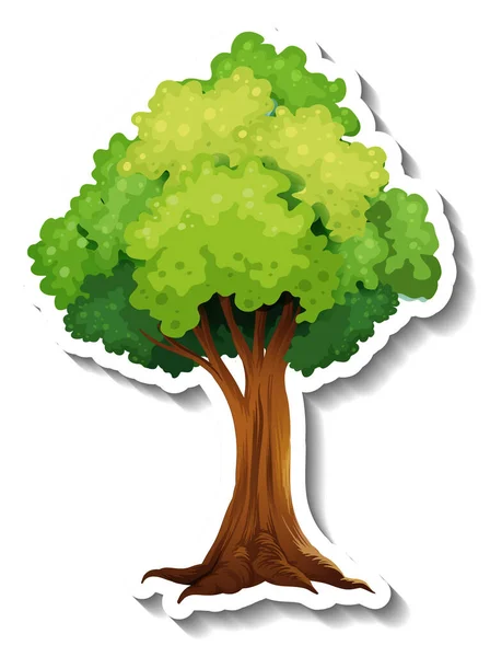 Baum Aufkleber Auf Weißem Hintergrund Illustration — Stockvektor