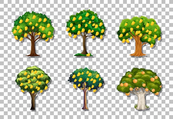 透明背景图上的一组不同的芒果树 — 图库矢量图片