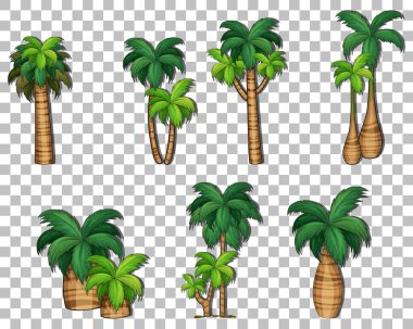 Saydam arkaplan illüstrasyonunda çeşitli ağaçlar kümesi