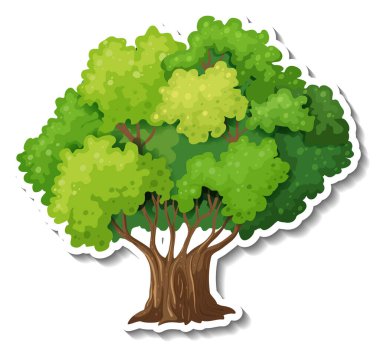 Beyaz arkaplan illüstrasyonunda ağaç etiketi