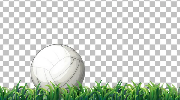 Volleyball Grass Field Transparent Background Illustration — Stock Vector