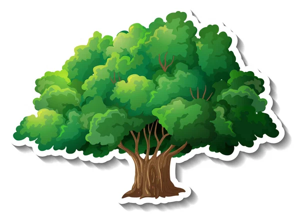 Tree Sticker White Background Illustration — Stock Vector