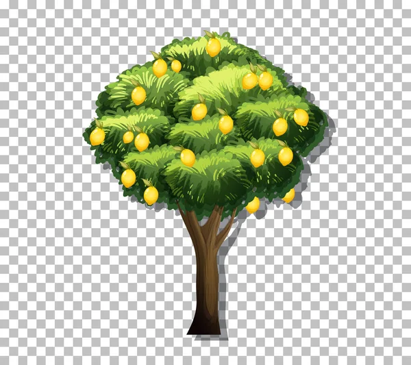 Zitronenbaum Auf Transparentem Hintergrund — Stockvektor