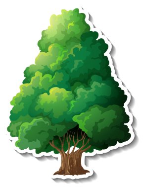 Beyaz arkaplan illüstrasyonunda ağaç etiketi