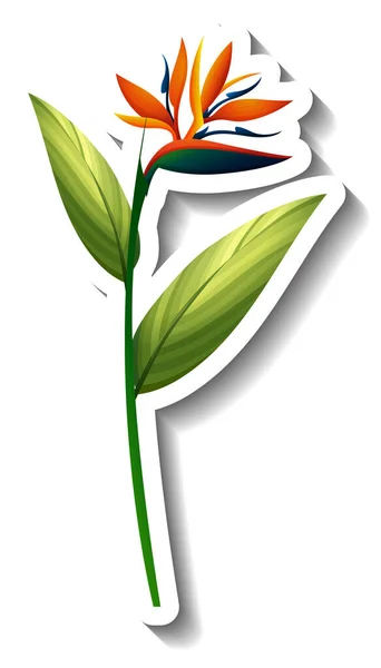 Autocollant Fleur Tropicale Sur Fond Blanc Illustration — Image vectorielle