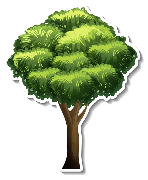 Adesivo Árvore Isolado Ilustração Fundo Branco —  Vetores de Stock