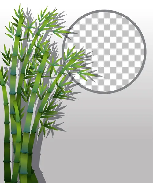 Naturpflanzen Rahmen Transparente Hintergrundillustration Ein — Stockvektor
