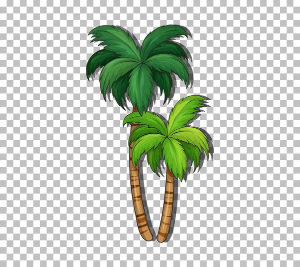 Coconut Tree Transparent Background Illustration — Stock Vector