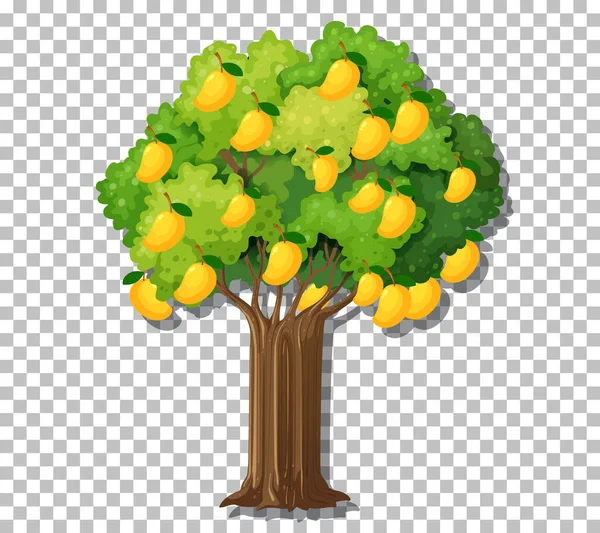 Mango Δέντρο Διαφανή Απεικόνιση Φόντου — Διανυσματικό Αρχείο