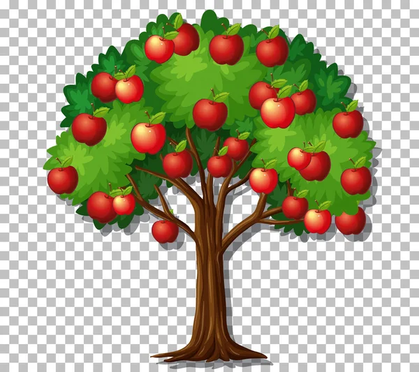 Appelboom Transparante Achtergrond Illustratie — Stockvector