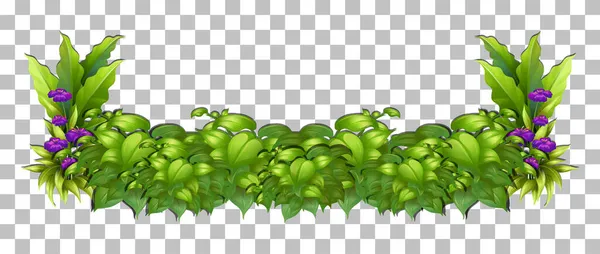 Plante Tropicale Sur Fond Transparent Illustration — Image vectorielle