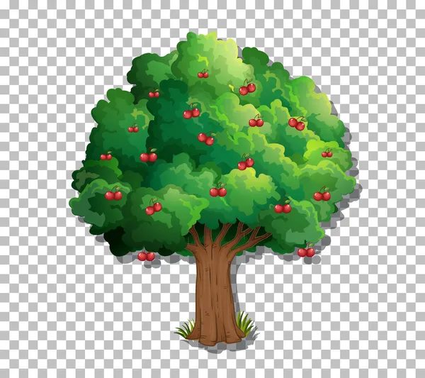 Δέντρο Διαφανή Απεικόνιση Φόντου — Διανυσματικό Αρχείο
