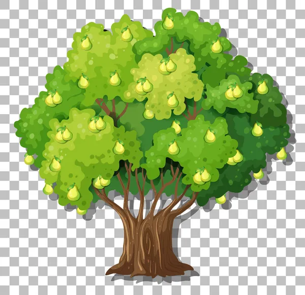 Árbol Pera Sobre Fondo Transparente Ilustración — Vector de stock