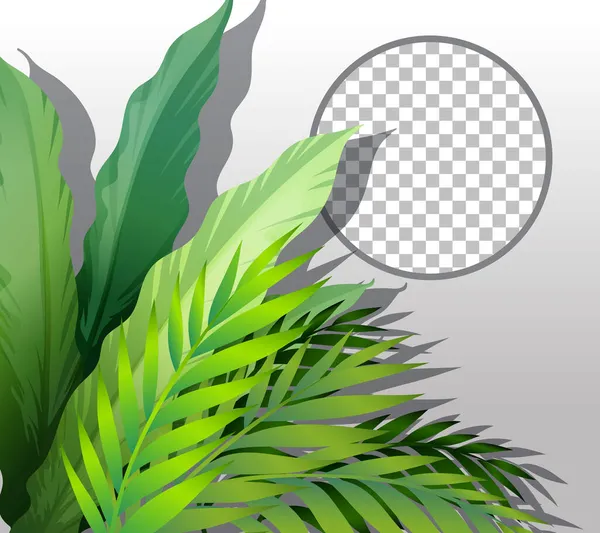 Φύση Φυτά Πλαίσιο Διαφανή Απεικόνιση Φόντου — Διανυσματικό Αρχείο