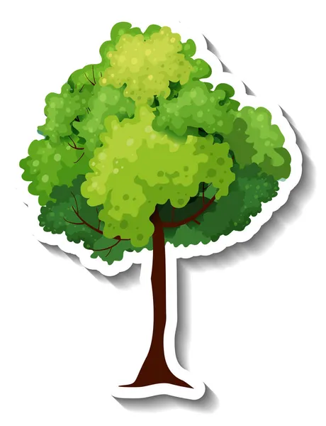 Pegatina Árbol Sobre Fondo Blanco Ilustración — Vector de stock