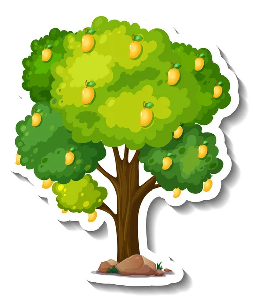Beyaz Arkaplan Resimlerinde Mango Ağacı Etiketi — Stok Vektör