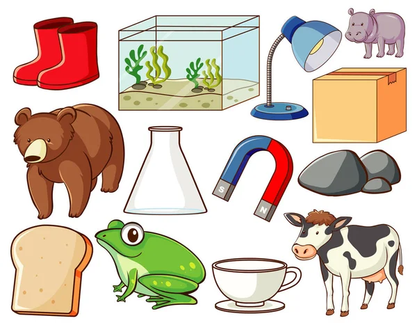 Set Various Animals Objects Illustration — Stock Vector