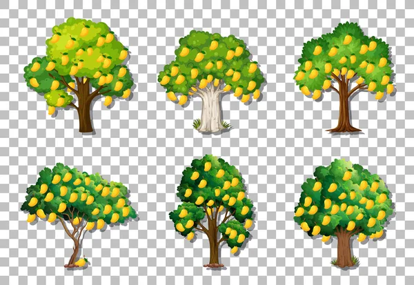 Набор Разнообразных Деревьев Манго Прозрачном Фоне Иллюстрации — стоковый вектор
