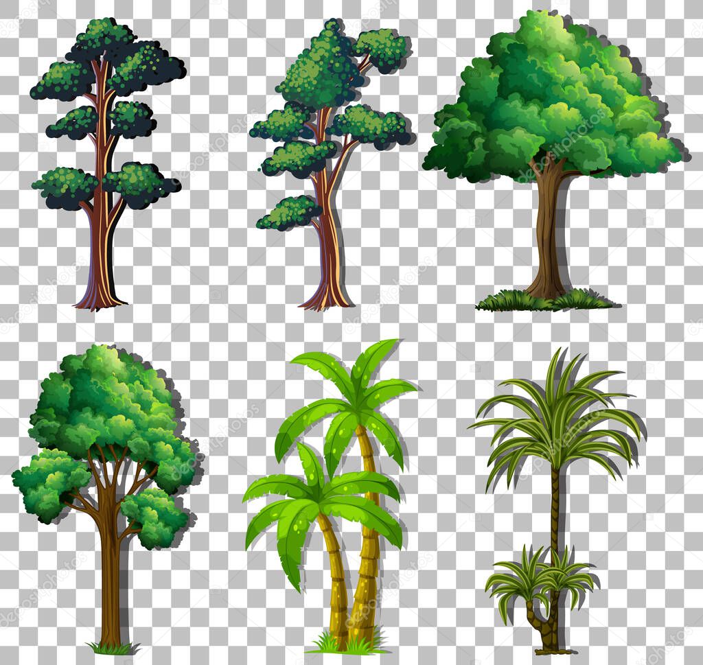 Set of variety trees on transparent background illustration