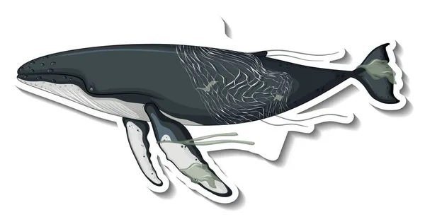 Wal Steckt Plastiknetz Auf Weißem Hintergrund — Stockvektor