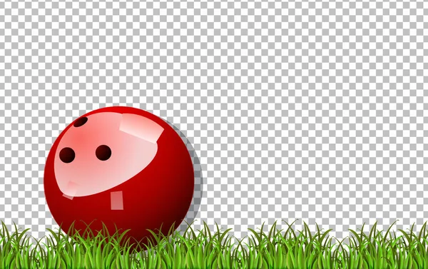 Bowling Bal Gras Transparante Achtergrond Illustratie — Stockvector