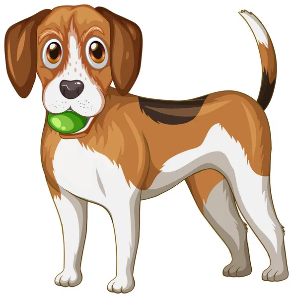 Dibujos Animados Beagle Perro Sobre Fondo Blanco Ilustración — Vector de stock