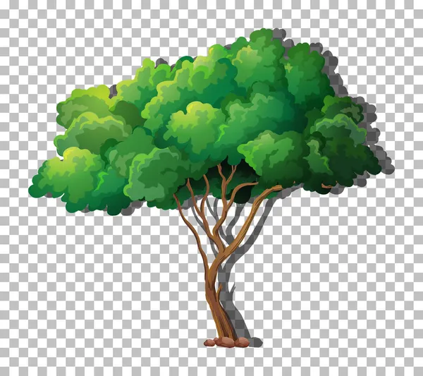 Árbol Con Hojas Verdes Sobre Fondo Transparente Ilustración — Vector de stock