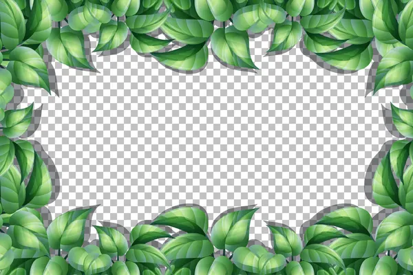 Natuur Planten Frame Transparante Achtergrond Illustratie — Stockvector