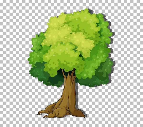 Δέντρο Διαφανή Απεικόνιση Φόντου — Διανυσματικό Αρχείο