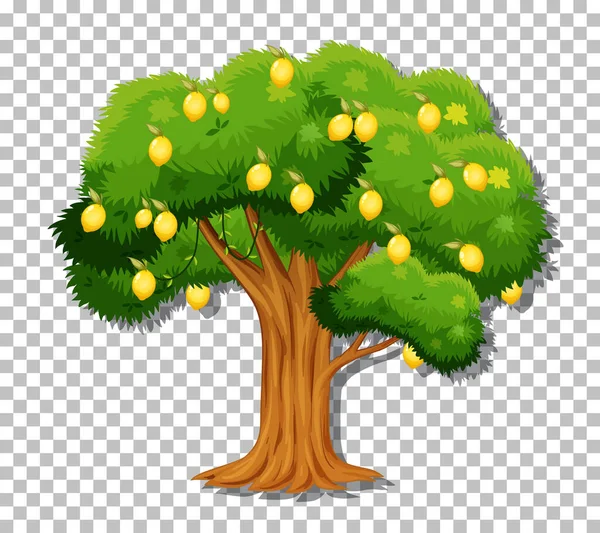 Albero Limone Sfondo Trasparente Illustrazione — Vettoriale Stock