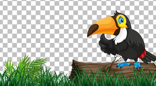 Toucan Sur Champ Herbe Sur Fond Transparent Illustration — Image vectorielle