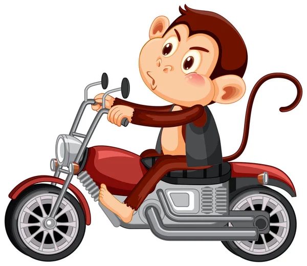 Monkey Rijdt Motor Cartoon Karakter Illustratie — Stockvector